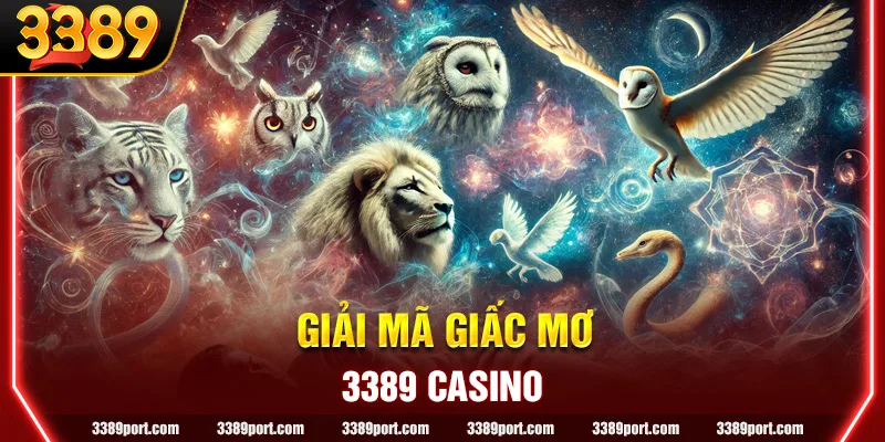 Giải mã giấc mơ 3389 - Phương pháp phân tích bộ số tiềm năng 