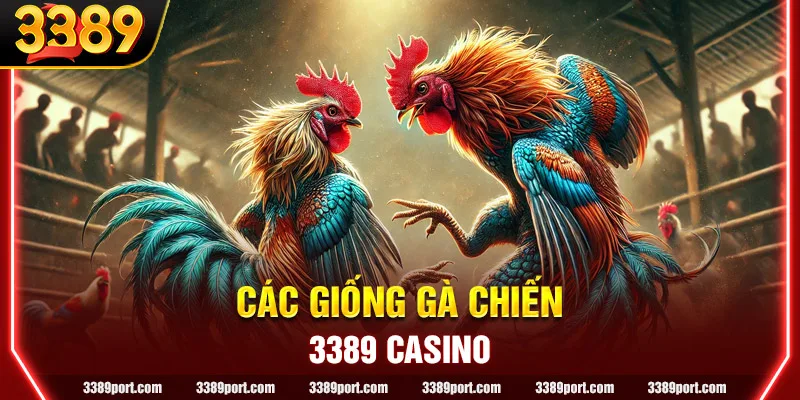 Điểm danh chiến kê đỉnh cao trong hình thức đá gà mạng