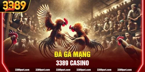 Đá Gà mạng: Trào lưu Giải trí được người chơi 3389 quan tâm