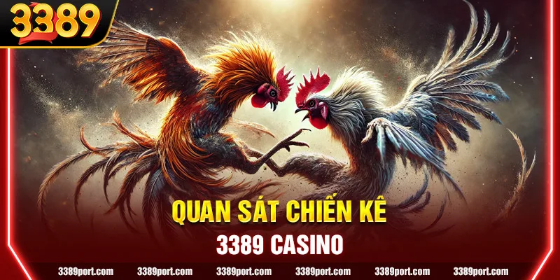 Quan sát chiến thuật áp dụng của chiến kê để dự đoán đúng chuẩn