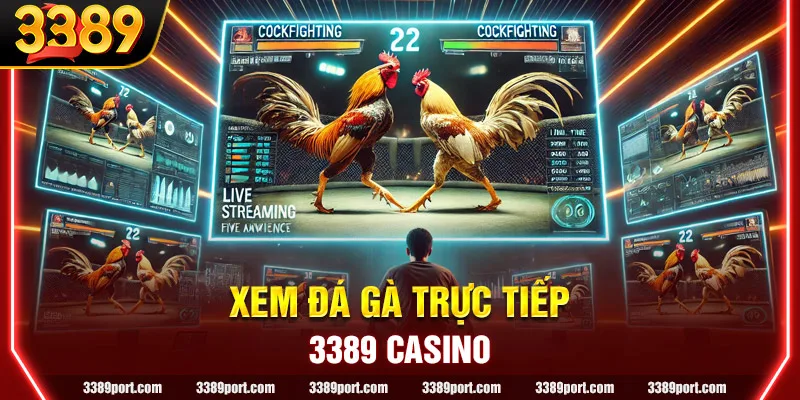 Xem đá gà trực tiếp tạo trải nghiệm không giới hạn